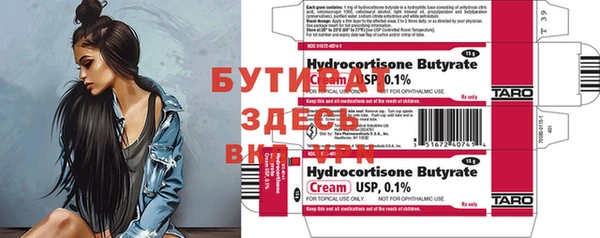 индика Гусиноозёрск