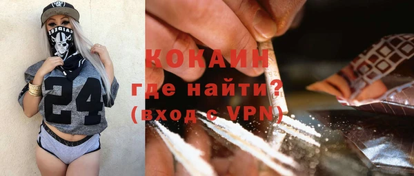 индика Гусиноозёрск