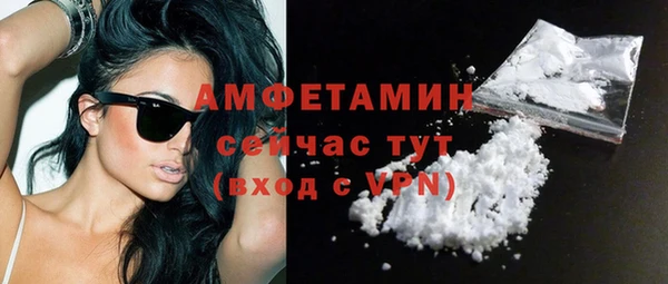 индика Гусиноозёрск