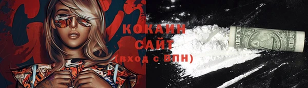 спайс Гусь-Хрустальный