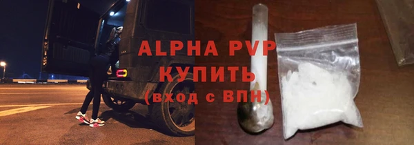 индика Гусиноозёрск