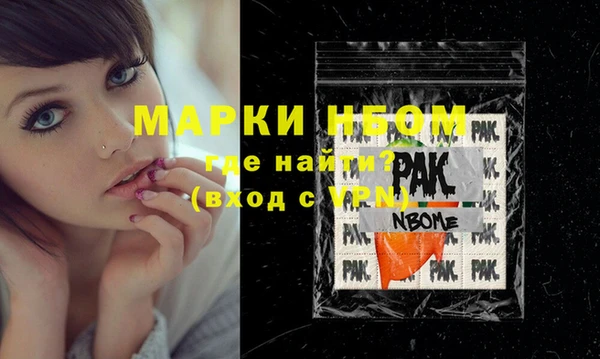 индика Гусиноозёрск