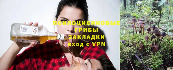 индика Гусиноозёрск