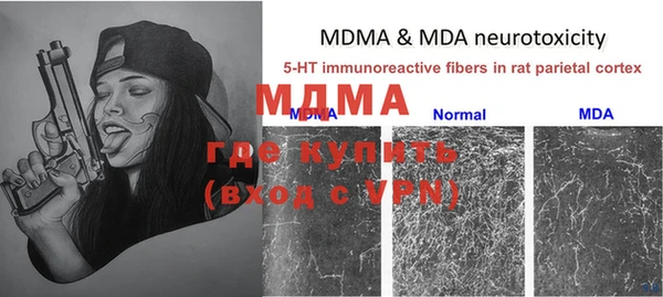 спайс Гусь-Хрустальный