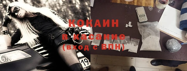 индика Гусиноозёрск