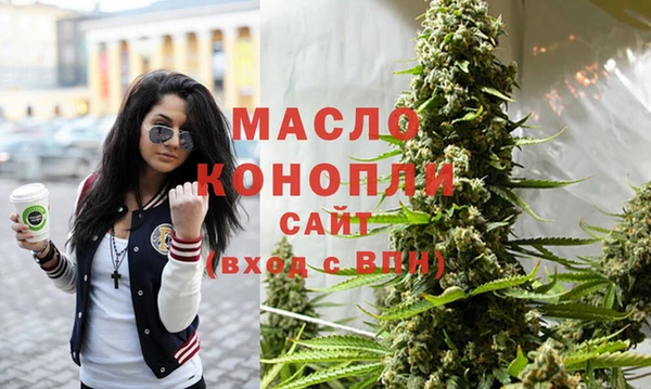 индика Гусиноозёрск