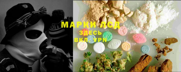 спайс Гусь-Хрустальный